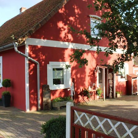Ferienwohnung Zum Nordlicht Bassum Bagian luar foto